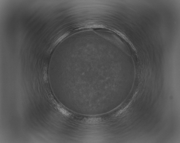 X0000054380889200508011251
