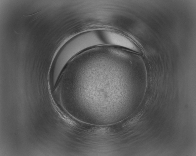 X0000054380891200508011251