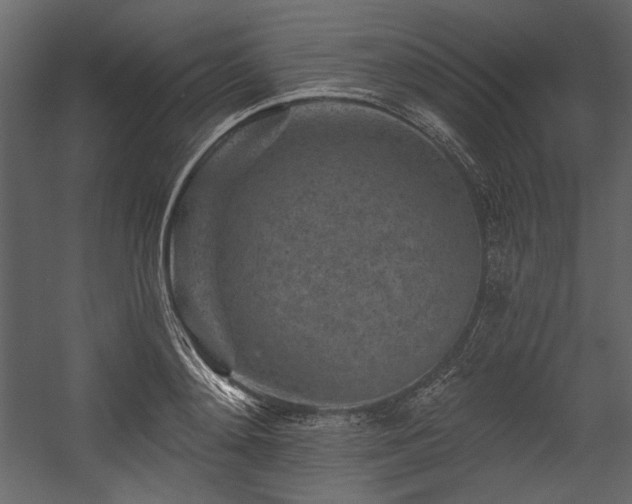 X0000054380892200508011250