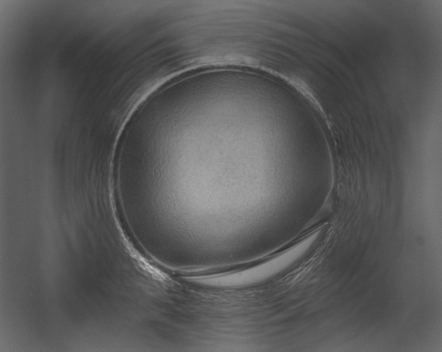 X0000054380895200508011250
