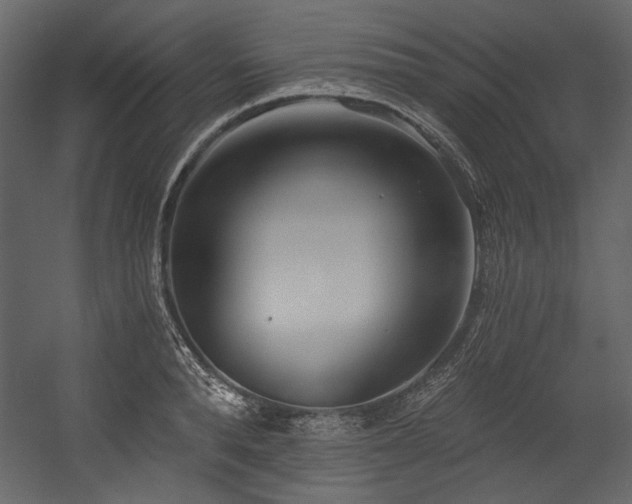 X0000054380896200508011250