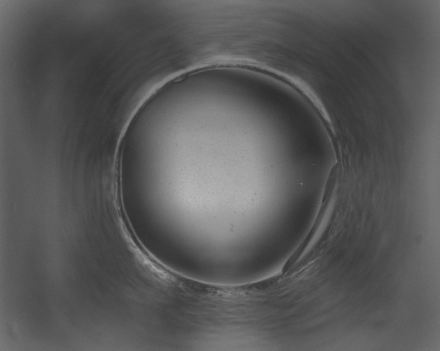 X0000054380911200508011250