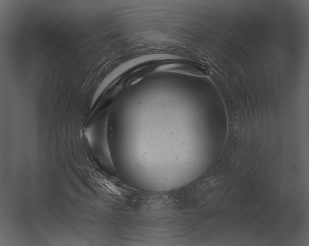 X0000054380916200508011249
