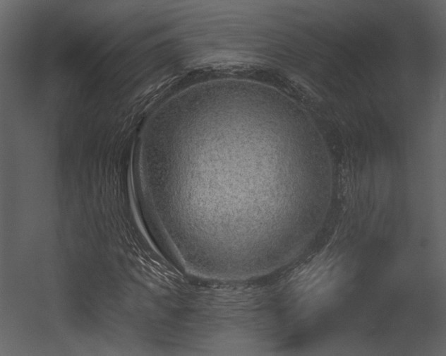 X0000054380917200508011249