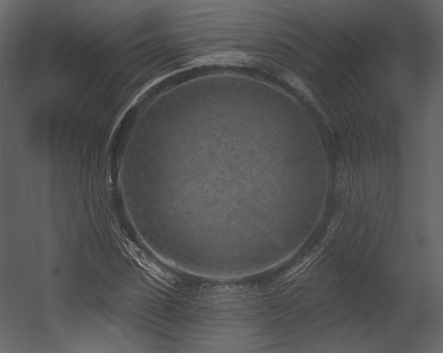 X0000054380923200508011250