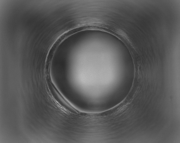 X0000054380924200508011250