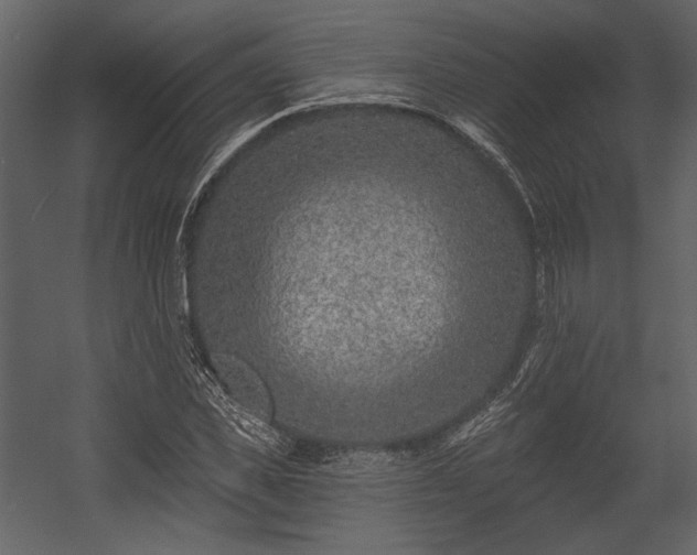X0000054380925200508011250