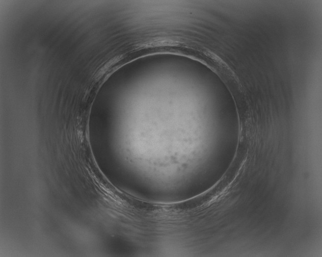 X0000054380929200508011250