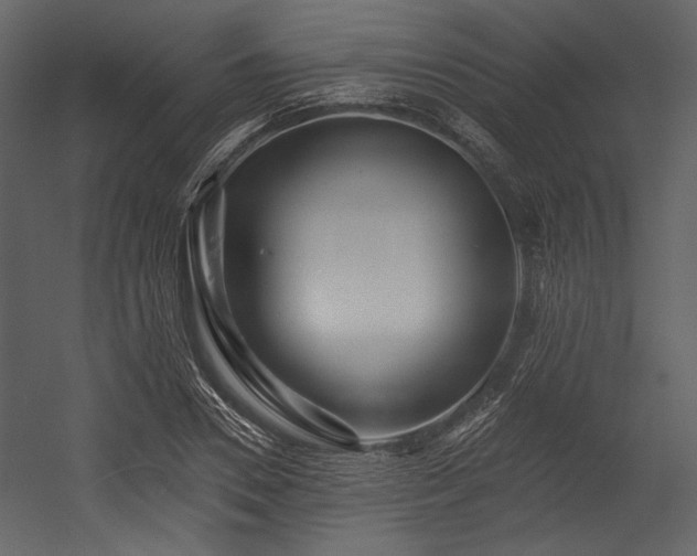 X0000054380930200508011250