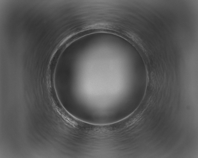 X0000054380931200508011250