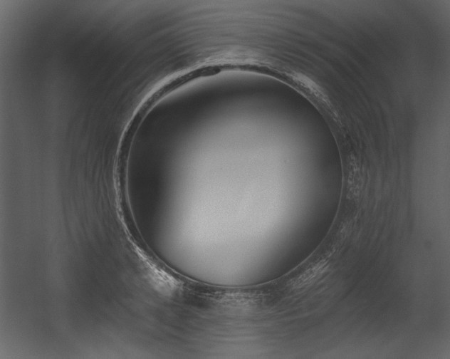 X0000054380942200508011250