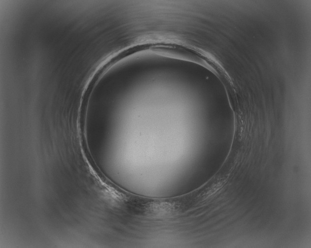 X0000054380943200508011250