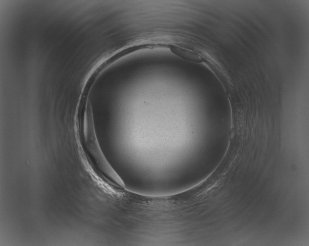 X0000054380944200508011250