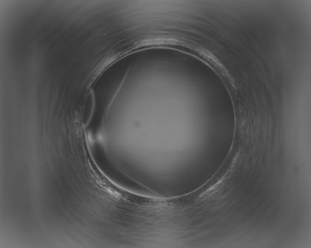 X0000054380945200508011250
