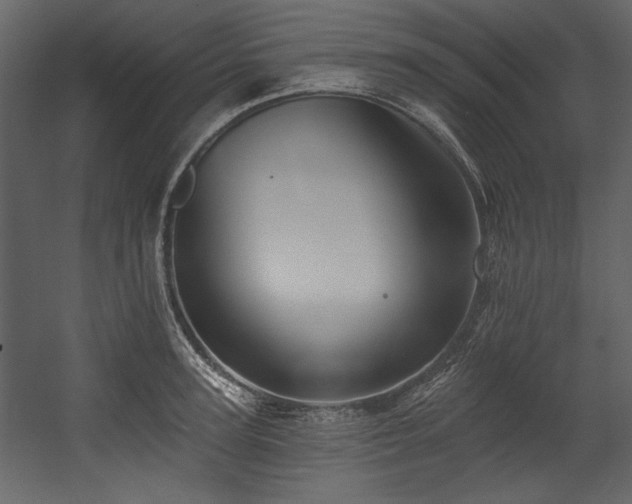 X0000054380947200508011250