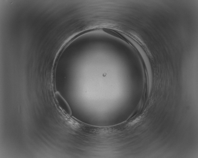 X0000054380948200508011250