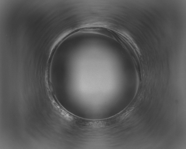 X0000054380952200508011250