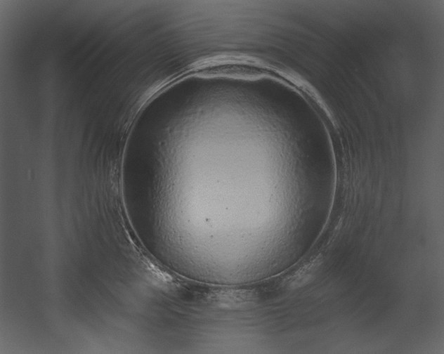 X0000054380953200508011250