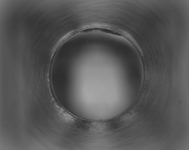 X0000054380954200508011250