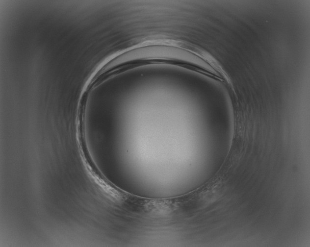 X0000054380955200508011250