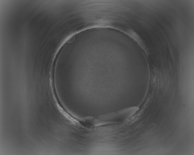 X0000054380958200508011250