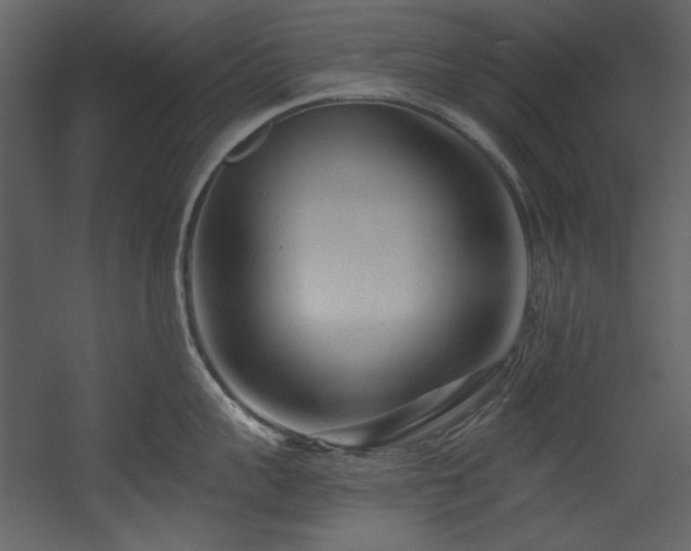 X0000054380959200508011250