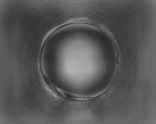 X0000054380960200508011250