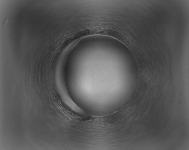 X0000054380961200508011249