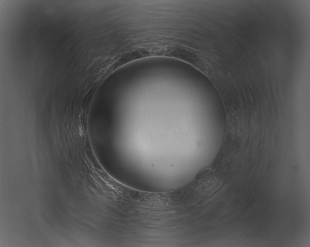 X0000054380962200508011249