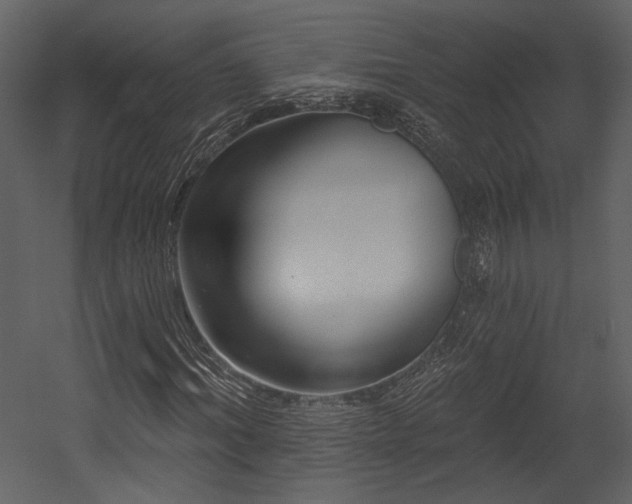 X0000054380964200508011249