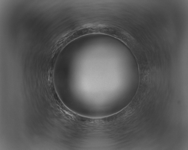 X0000054380966200508011249