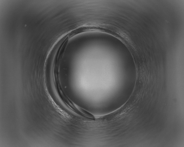 X0000054380976200508011249