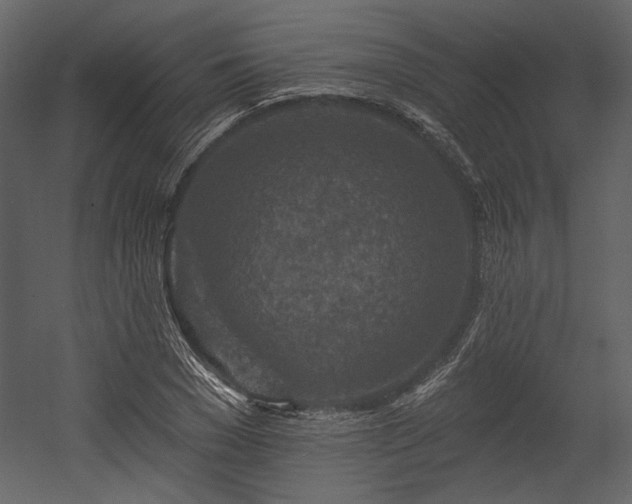X0000054380977200508011249