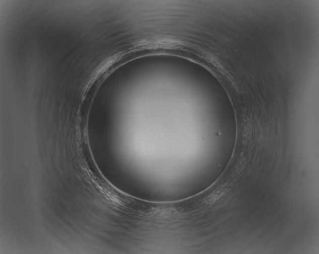 X0000054380978200508011249