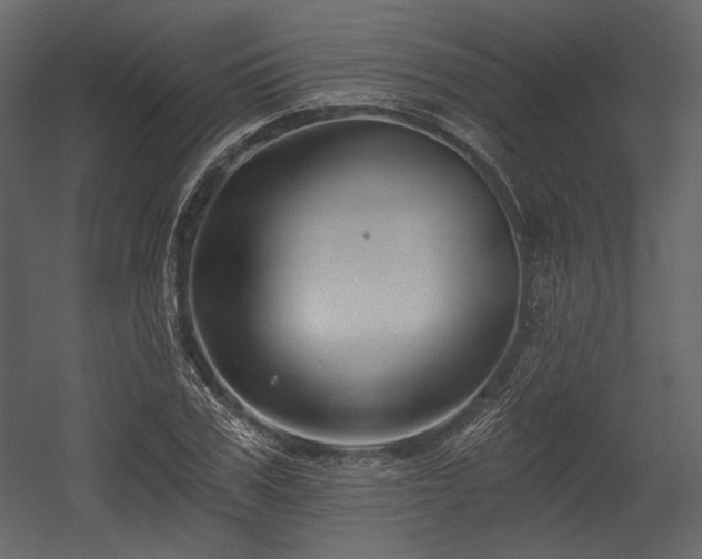 X0000054380979200508011249