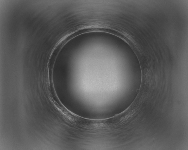 X0000054380982200508011249