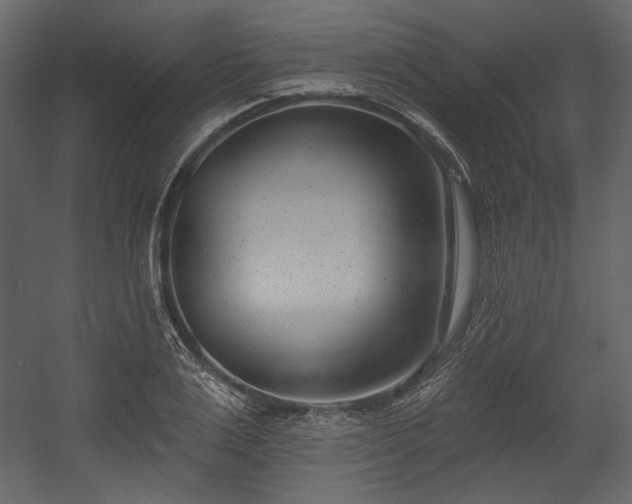 X0000054380983200508011249
