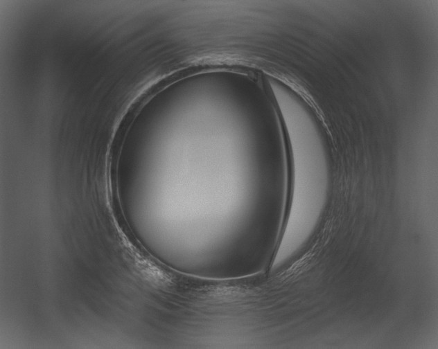 X0000054380984200508011249