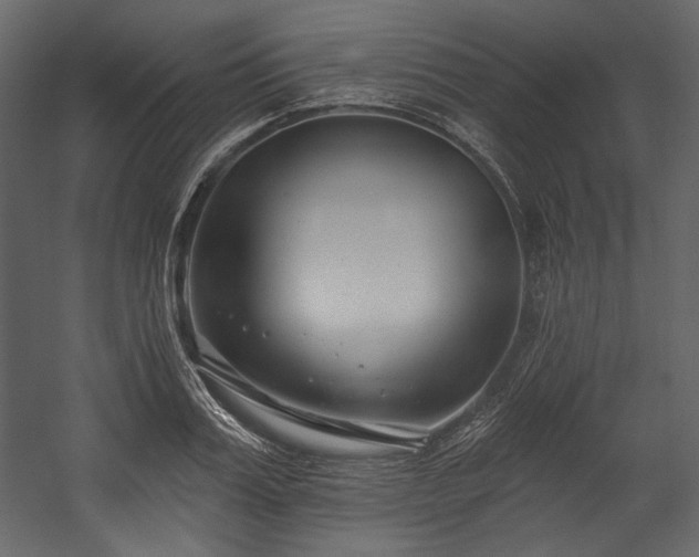X0000054380987200508011249