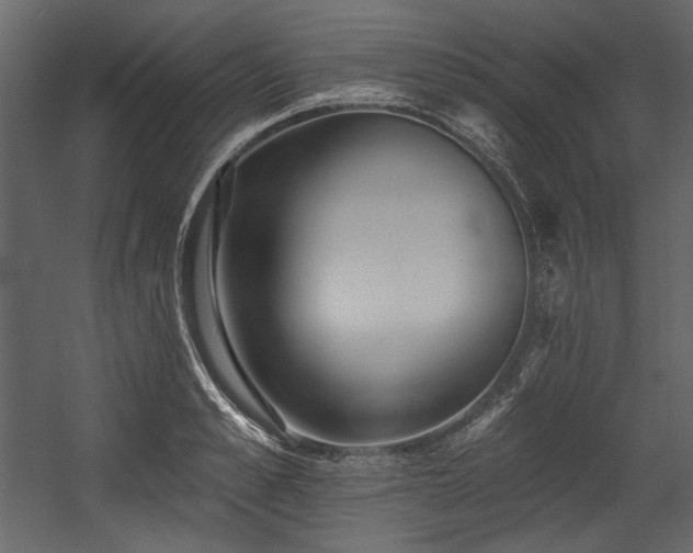 X0000054380989200508011249