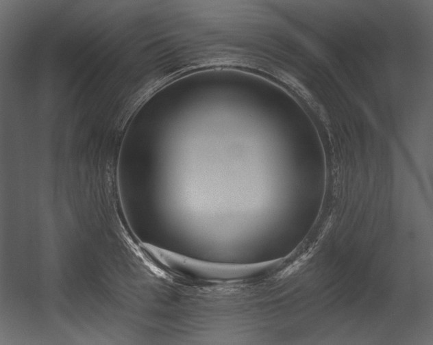 X0000054380993200508011249