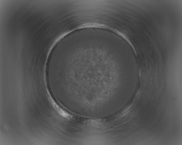 X0000054380995200508011249