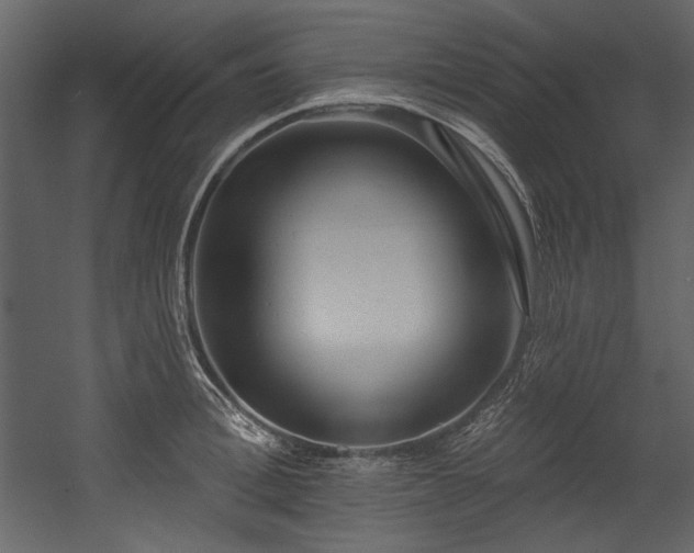 X0000054380996200508011249