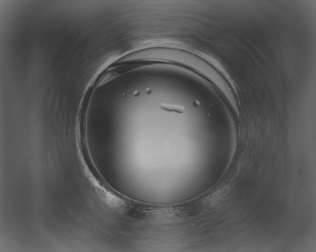 X0000054380999200508011249