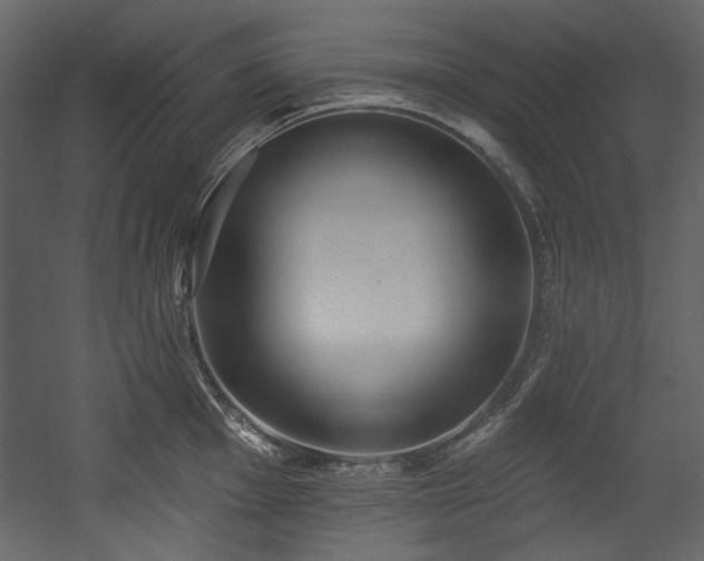 X0000054381001200508011249