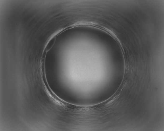 X0000054381003200508011249