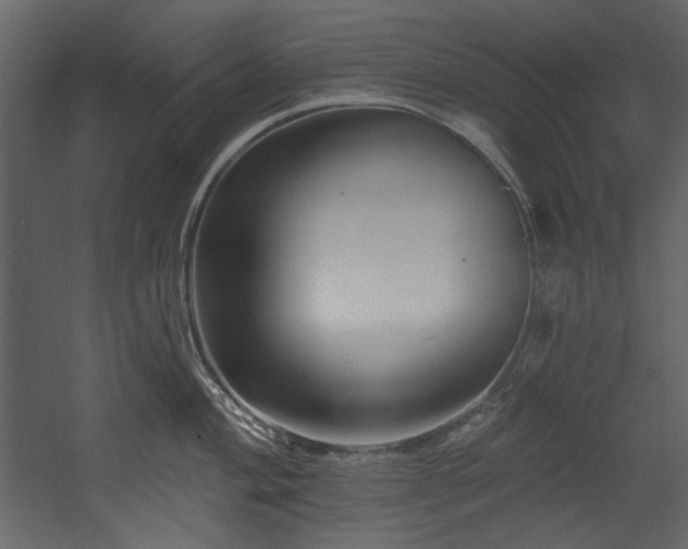 X0000054381004200508011249