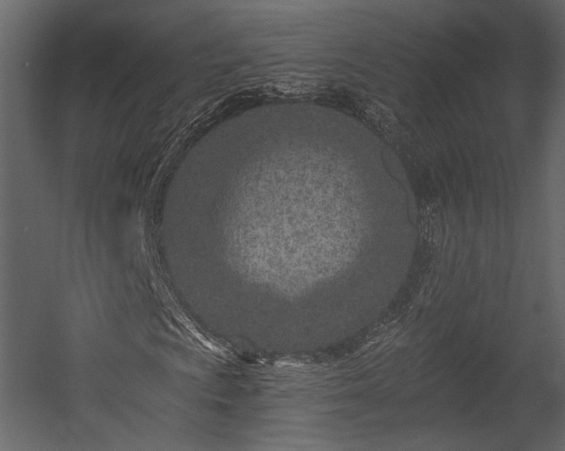 X0000054381009200508011248