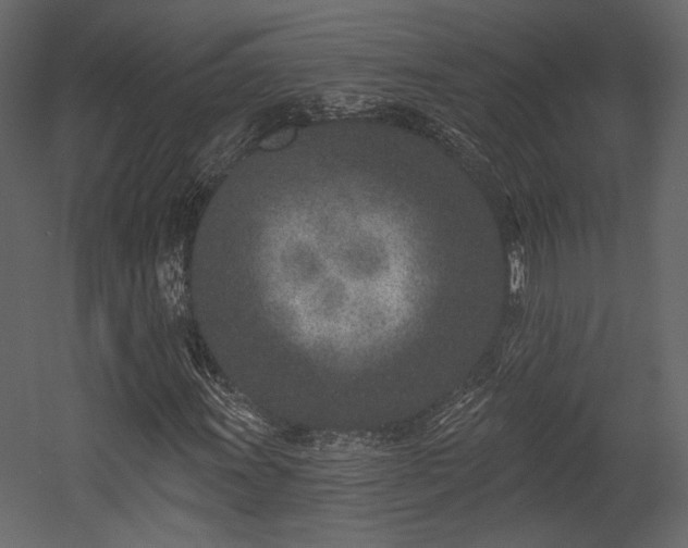 X0000054381011200508011248