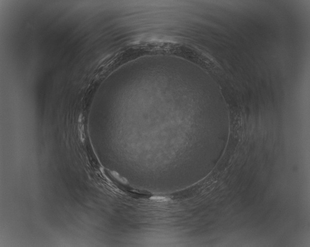 X0000054381013200508011248